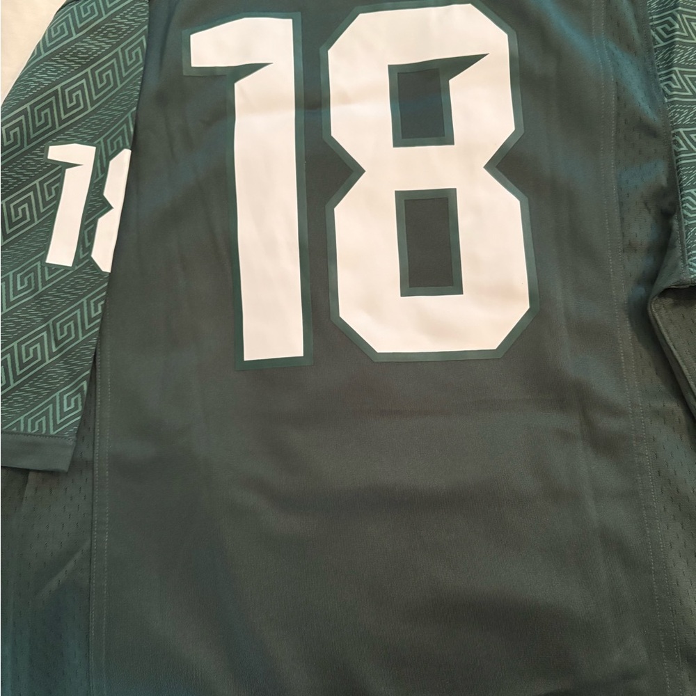 Nike NWOT Michigan State Athletic Jerseys - Picture 2 of 3